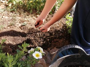 El Consorcio de Servicios de La Palma distribuye composteras en 18 centros educativos de la isla